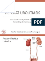 Ureterolithiasis-1