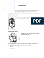 ULANGAN HARIAN Peredaran Darah