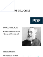THE-CELL-CYCLE.pptx