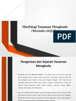Morfologi Tanaman Mengkudu