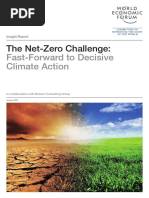 WEF The Net Zero Challenge