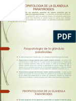 Fisiopatologia de La Glandula Paratiroides. Orlando.