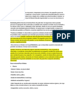 Resumen-Rocas Metamorficas