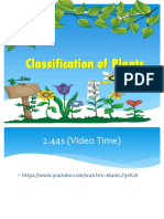 Classification of Plants