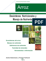 L Arroz PDF