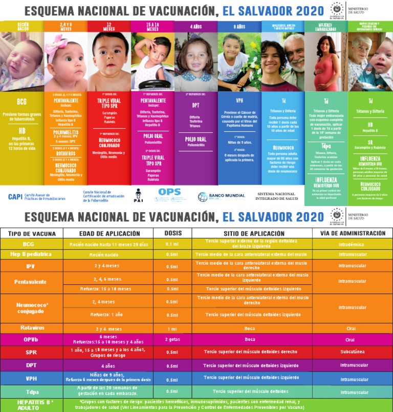 Esquema de Vacunacion 2020 Frente DEC Vacunas Salud pública