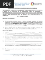 Documento privado sobre reconocimiento de deuda y 