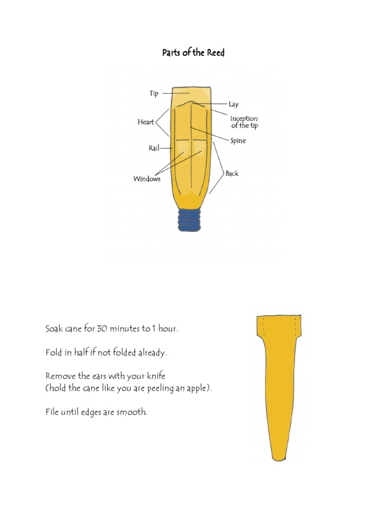 Oboe Reed Book PDF PDF