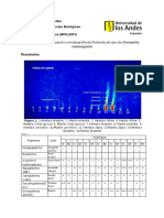 Informe Cromatografía Final