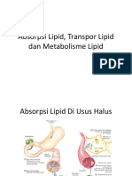 Absorpsi Lipid, Transpor Lipid Dan Metabolisme Lipid SGD 15 Blok 5