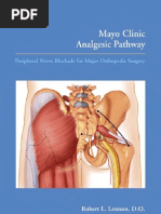 Download Mayo Clinic Analgesic Pathway Peripheral Nerve Blockade for Major Orthopedic Surgery by Azu G Cenal SN44436574 doc pdf