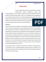 300101138-Informe-Piedra-Caliza.docx