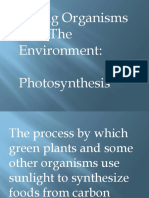 Photosynthesis