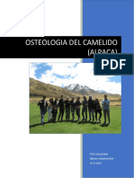 Informe de Taller Osteologia - Raya