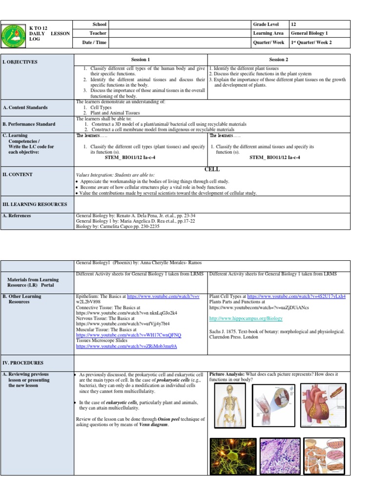 Grade 12 General Biology Lesson Plan | PDF | Tissue (Biology) | Leaf