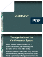 Cardiology 1