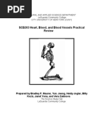 Download Heart Blood And Blood Vessels Practical Review by Ervin T Mile SN44438863 doc pdf