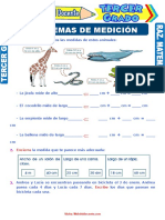 Problemas de medición y conversión de unidades en matemáticas