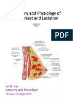 2 Anatomy and Physiology of The Breast and Lactation