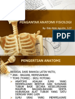 Anatomi Fisiologi TM 1