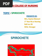 spirochete ppt