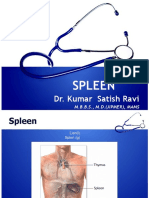 1165 Spleen Dr.-Ravi