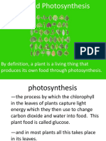 Photosynthesis