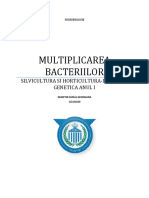 Multiplicarea Bacteriilor - Referat Microbilogie