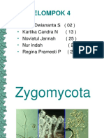 zygomycota-150221232124-conversion-gate02.pptx