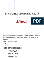 mitoza.pptx