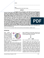 EX6 Final Report PDF