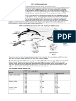 DDT Biomagnification