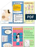 Leaflet Penyimpanan Asip PDF