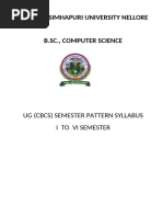 B.Sc. (Computer Science) PDF