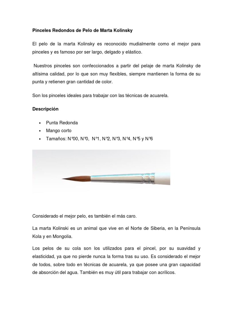 Pinceles Redondos de Pelo de Marta Kolinsky | PDF | Clavo (anatomía) |  Cepillo