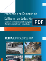 Camaron en Ras PDF