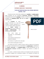 13 Organizacion Anatomofuncional Del Sistema Nervioso Central SNC Lectura PDF