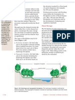 Floodplain