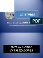 Enzimas y Energia2