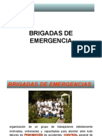 diapositivasbrigadas-120611220757-phpapp02.pdf