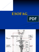 Patologie-Esofagiana Pps