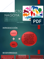 PROYECTO NAGOYA