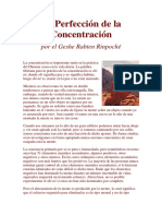 La_Perfeccion_de_la_Concentracion.pdf