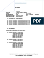 Inf - 00315 - Informe Tecnico Surtidor Davila