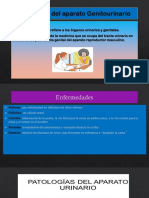Patologías Del Aparato Genitourinario