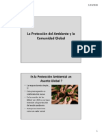 La Proteccion Del Ambiente y La Comunidad Global