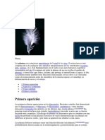 Pluma