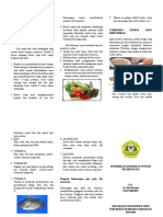 Leaflet Nutrisi Ibu Menyusui