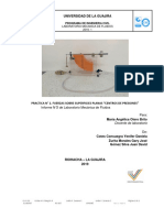 Informe de Fluidos