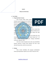 5. BAB II (1).pdf